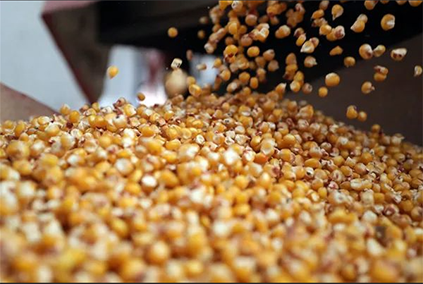 1677981815.png 1.png