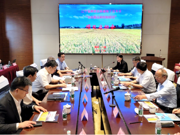 1680504377.png 3.png