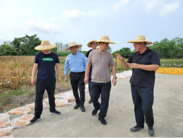 1680504393.png 5.png