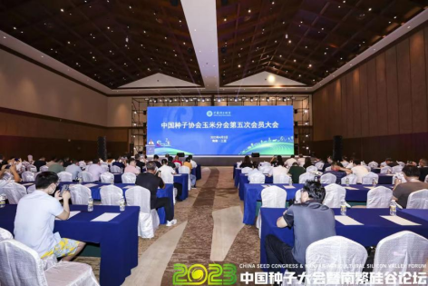 1682211204.png 1682211204.png